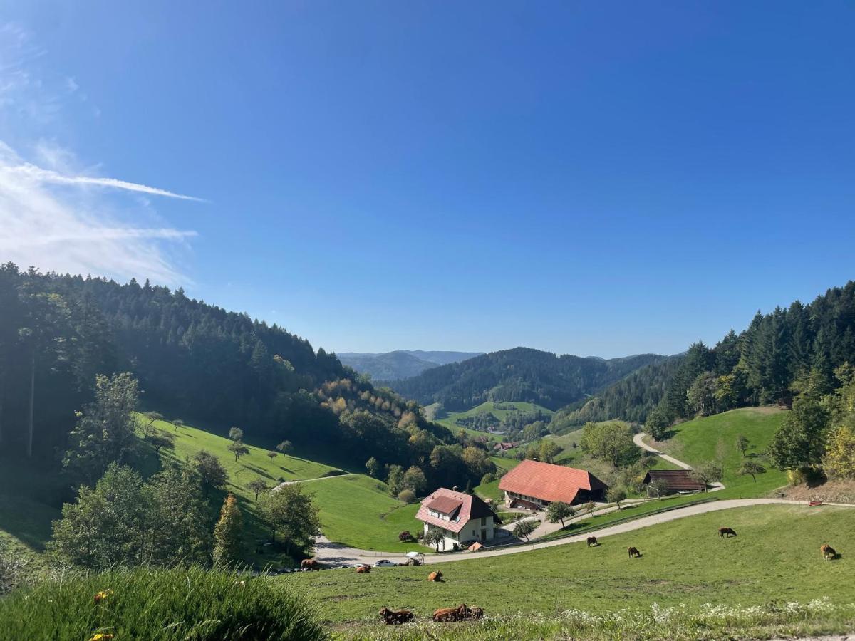 Schwarzwaldmaedel Hausach Exterior foto